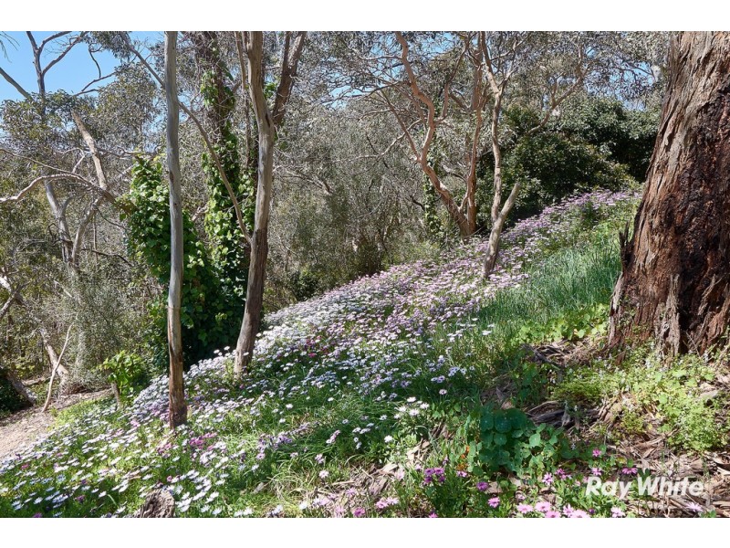 110 Emmett Road, Crafers West SA 5152