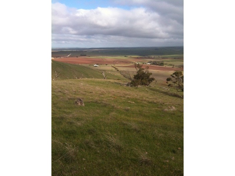 Sect 2005 Range Road, Rockleigh SA 5254