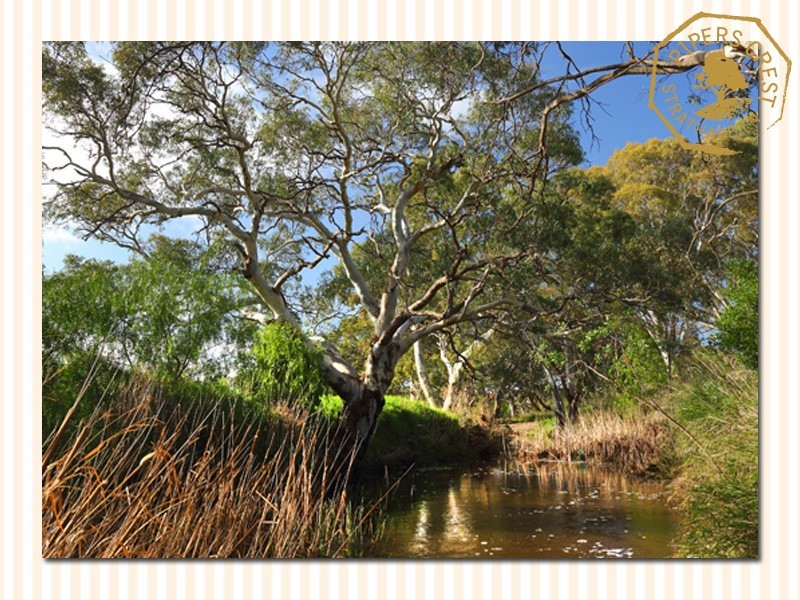 Lot 223 Davey Court, Strathalbyn SA 5255