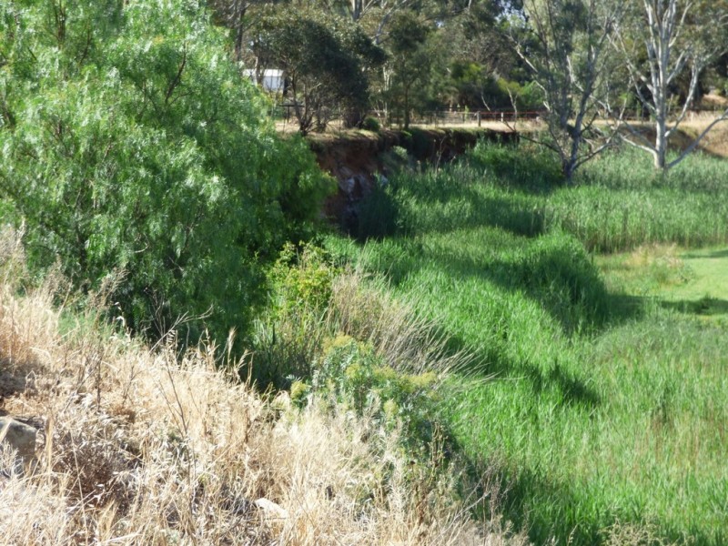 Lot 248 (36) North Terrace, Callington SA 5254