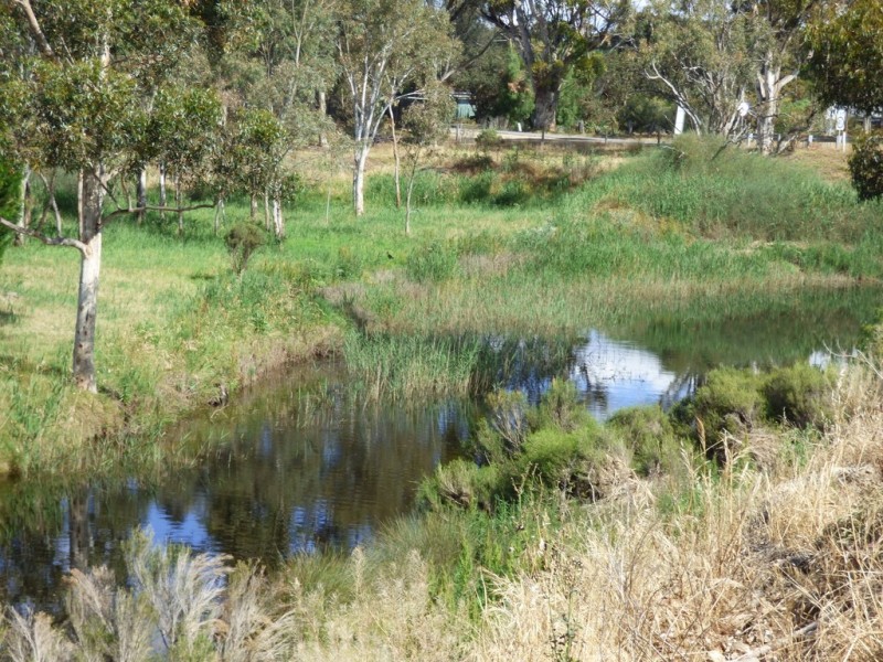 Lot 248 (36) North Terrace, Callington SA 5254