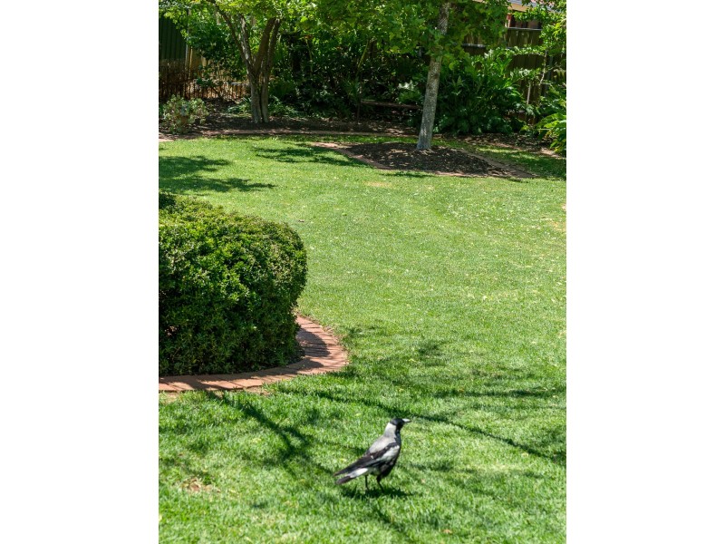 10 Ibis Court, Mount Barker SA 5251