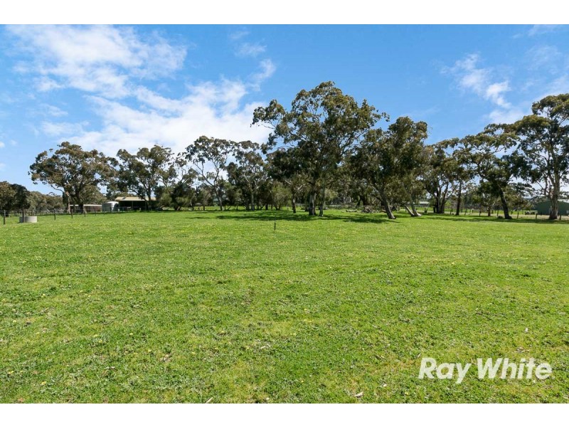 98 Ellis Road, Meadows SA 5201