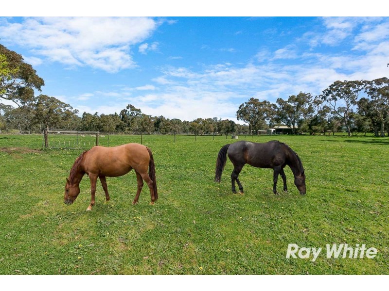 98 Ellis Road, Meadows SA 5201