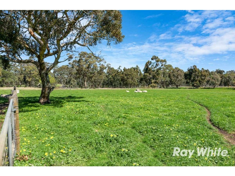98 Ellis Road, Meadows SA 5201