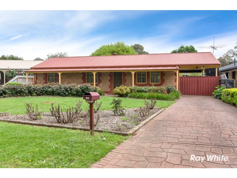 50 Craig Terrace, Mount Barker SA 5251