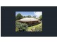 15 Burns Street, Nairne SA 5252
