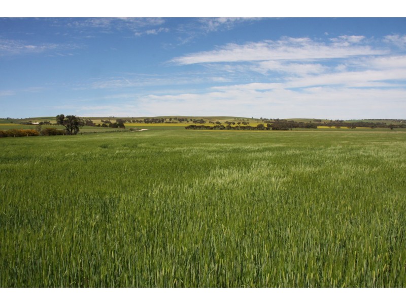 116 Bremer Range Road, Callington SA 5254