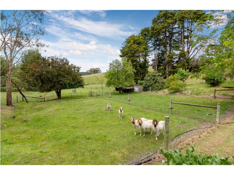 47 Usher Road, Bull Creek SA 5157