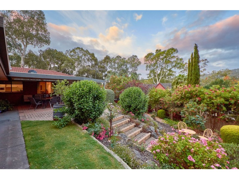 8 Plymouth Avenue, Coromandel Valley SA 5051