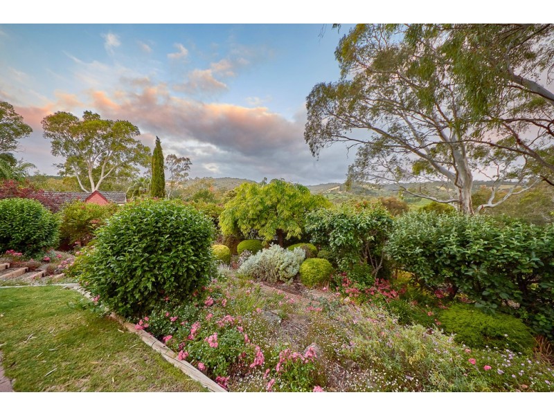 8 Plymouth Avenue, Coromandel Valley SA 5051