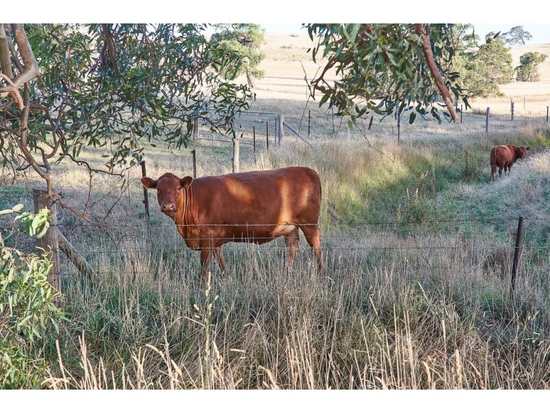 1421 Military Road, Dawesley SA 5252