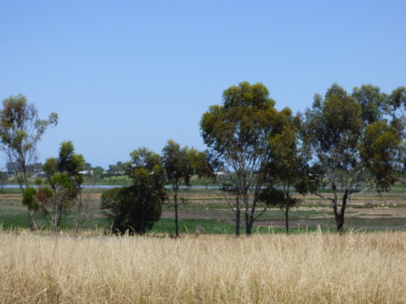 Lot 706 Riley Road, Wellington East SA 5259