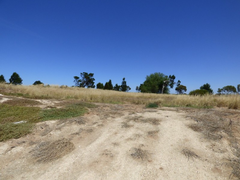 Lot 706 Riley Road, Wellington East SA 5259