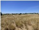 Lot 706 Riley Road, Wellington East SA 5259
