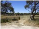 Lot 3 Klenke Road, Wistow SA 5251
