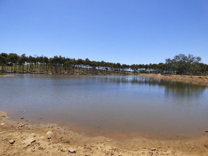 Lot 3 Klenke Road, Wistow SA 5251