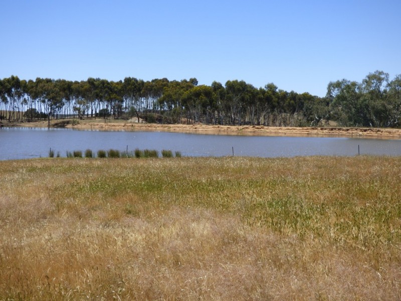 Lot 3 Klenke Road, Wistow SA 5251
