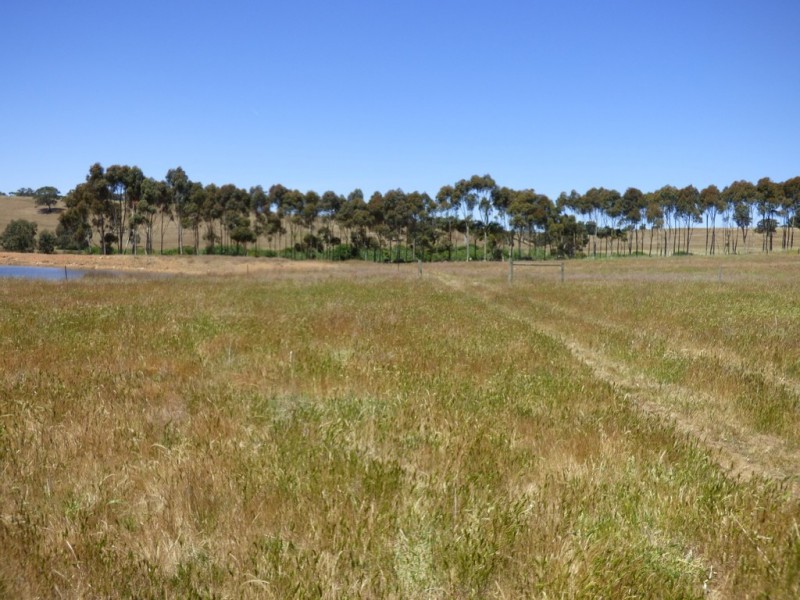 Lot 3 Klenke Road, Wistow SA 5251
