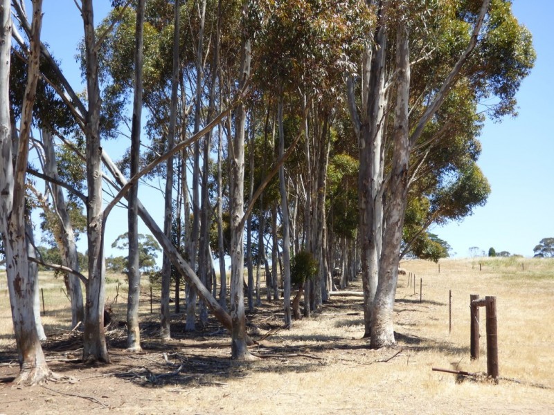 Lot 3 Klenke Road, Wistow SA 5251