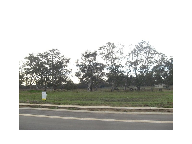 Lot 4 Hampden Way, Strathalbyn SA 5255