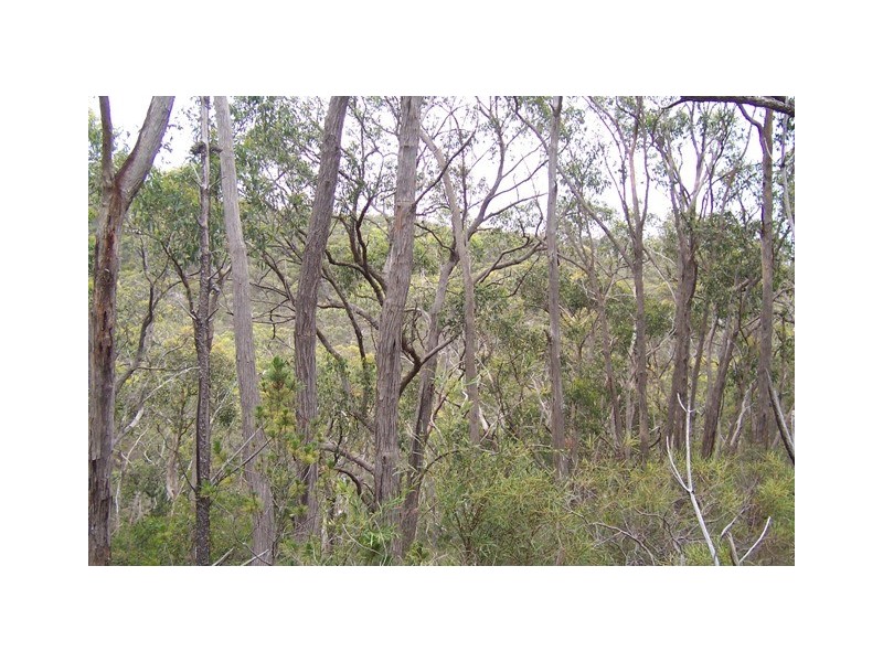 Lot 3/51 Emmett Road, Crafers West SA 5152