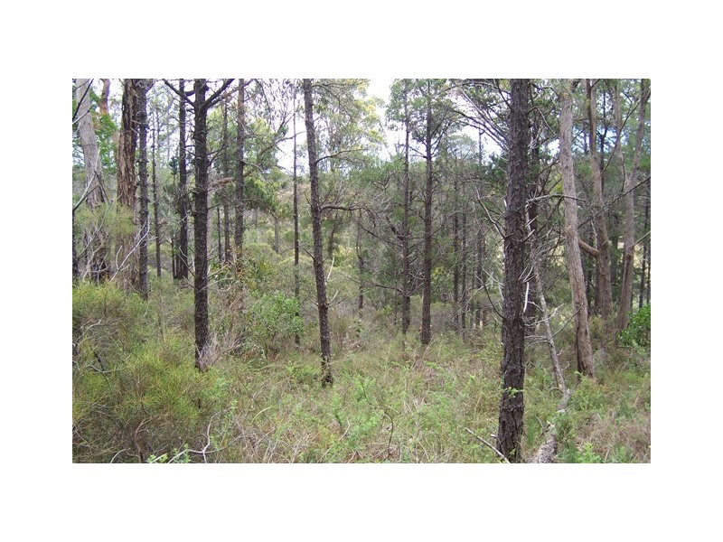 Lot 3/51 Emmett Road, Crafers West SA 5152