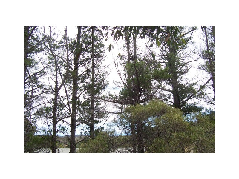 Lot 3/51 Emmett Road, Crafers West SA 5152