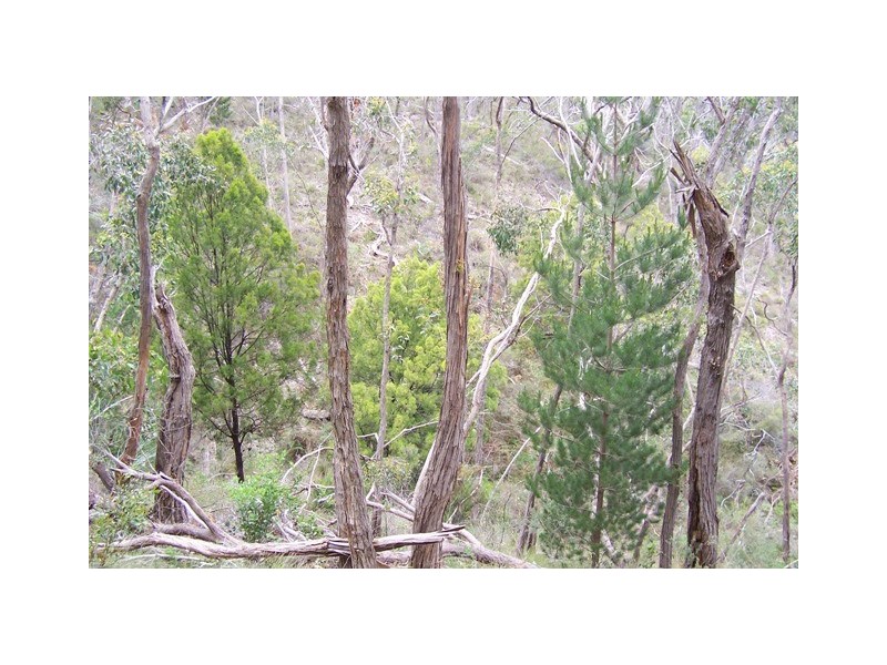 Lot 3/51 Emmett Road, Crafers West SA 5152