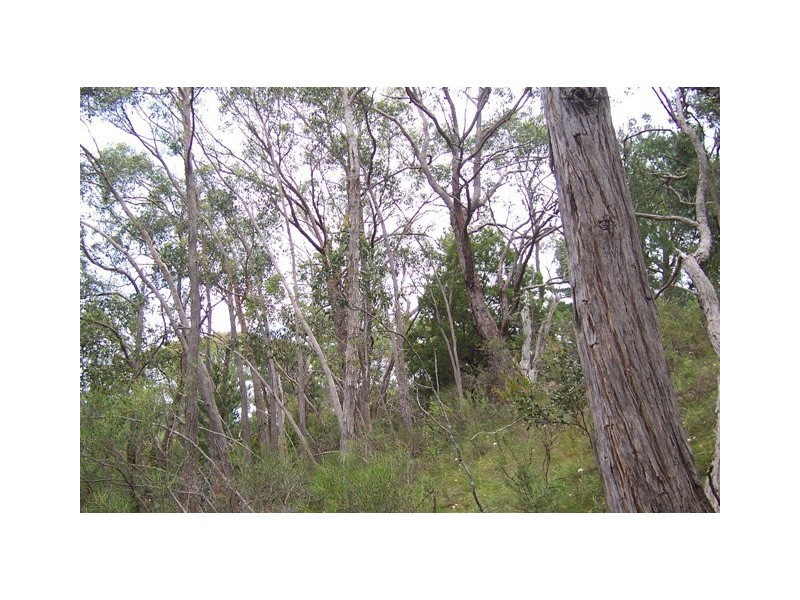 Lot 3/51 Emmett Road, Crafers West SA 5152