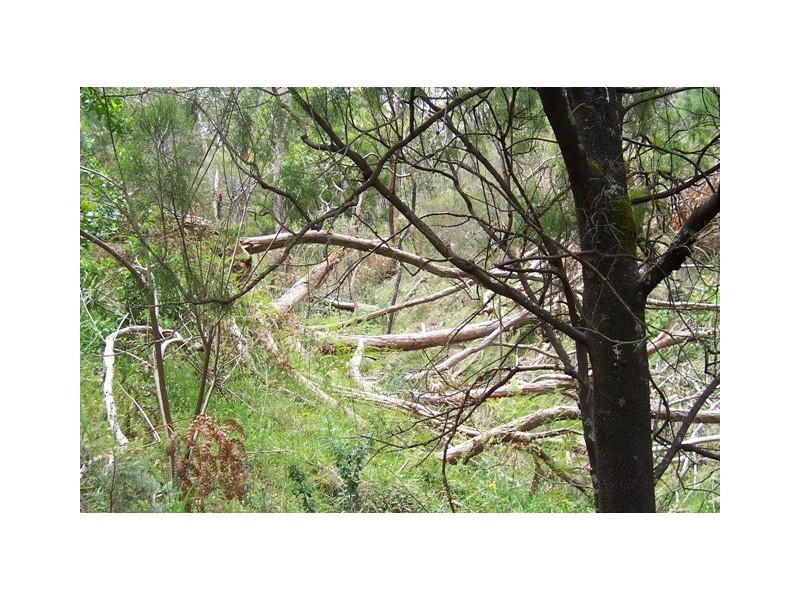 Lot 3/51 Emmett Road, Crafers West SA 5152