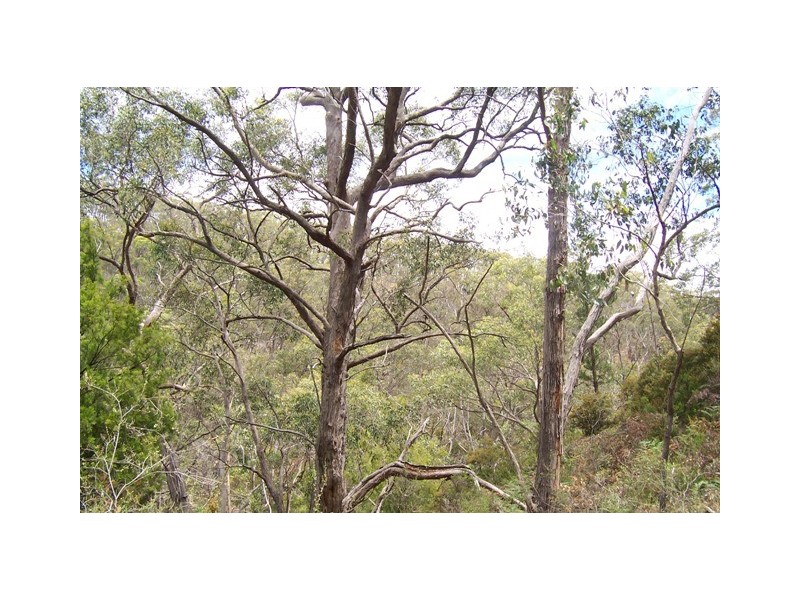 Lot 3/51 Emmett Road, Crafers West SA 5152