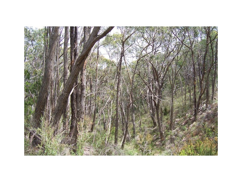 Lot 3/51 Emmett Road, Crafers West SA 5152