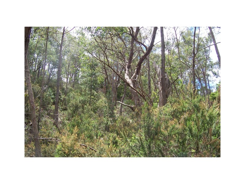 Lot 3/51 Emmett Road, Crafers West SA 5152