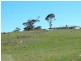 358 Klenke Road, Red Creek SA 5255