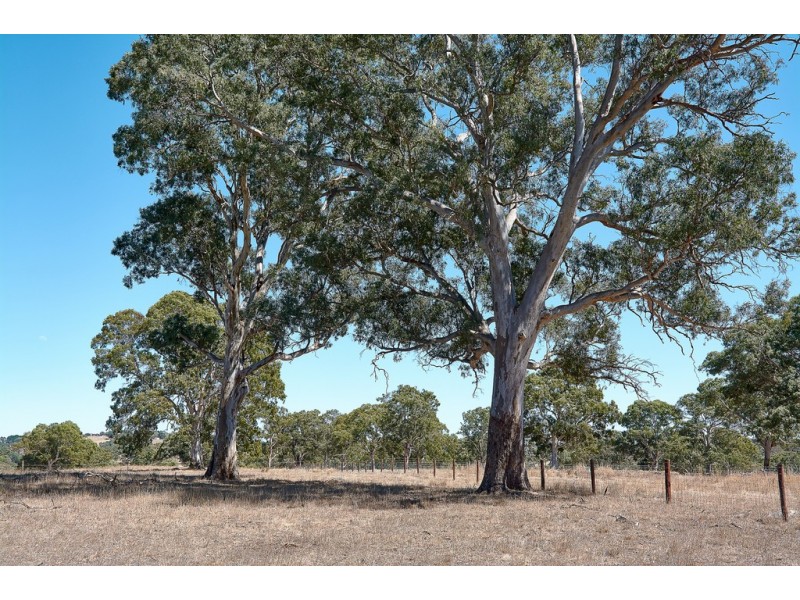 Lot 2 Ironstone Range Road, Nairne SA 5252