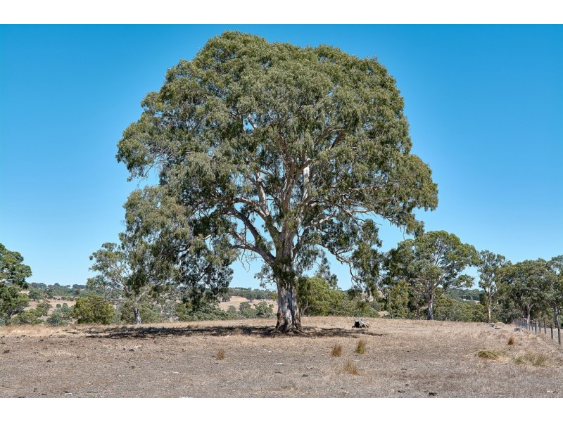 Lot 2 Ironstone Range Road, Nairne SA 5252