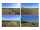 Lot 358 Jervois Road, Woods Point SA 5253