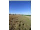 Lot 358 Jervois Road, Woods Point SA 5253