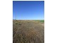 Lot 358 Jervois Road, Woods Point SA 5253