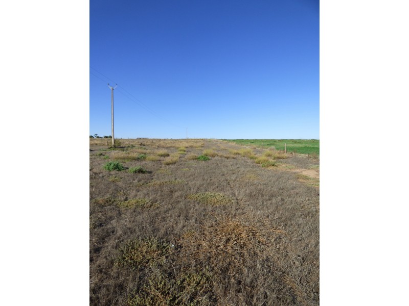 Lot 358 Jervois Road, Woods Point SA 5253