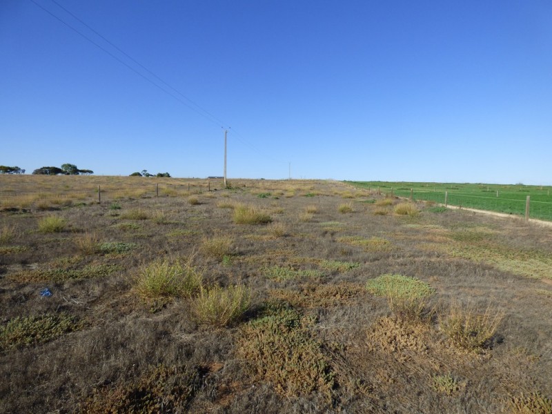 Lot 358 Jervois Road, Woods Point SA 5253