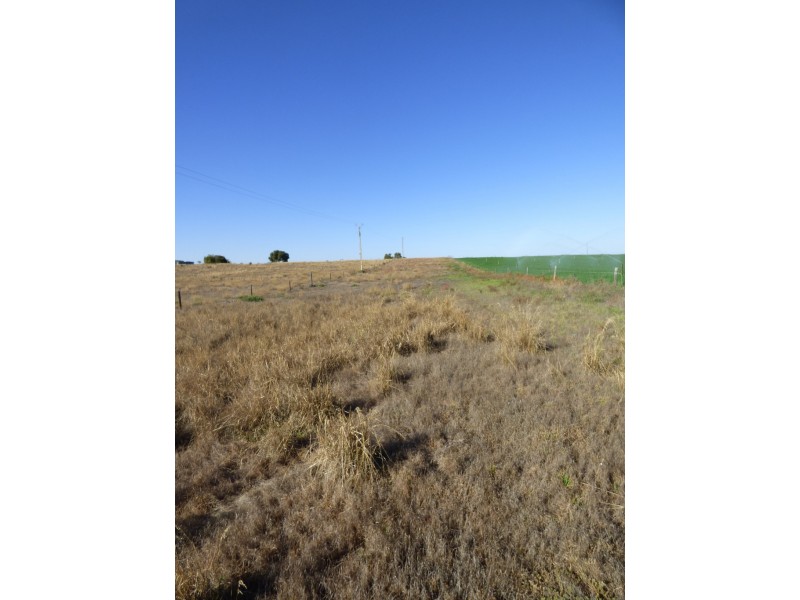 Lot 358 Jervois Road, Woods Point SA 5253