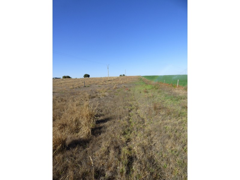 Lot 358 Jervois Road, Woods Point SA 5253
