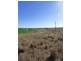 Lot 358 Jervois Road, Woods Point SA 5253