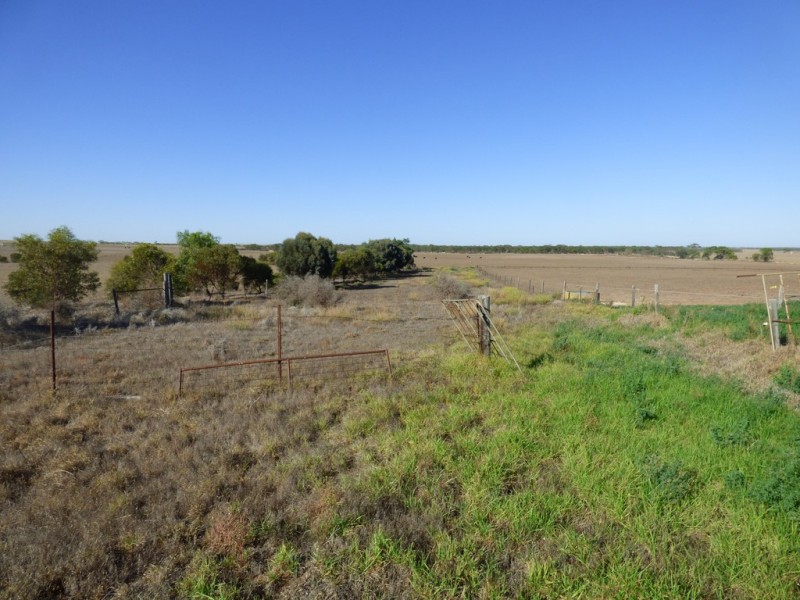 Lot 358 Jervois Road, Woods Point SA 5253