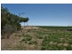 Lot 358 Jervois Road, Woods Point SA 5253