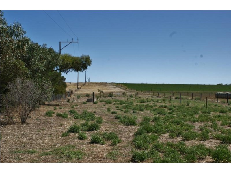 Lot 358 Jervois Road, Woods Point SA 5253