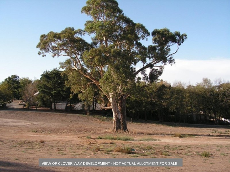 Lot 12 Clover Way, Nairne SA 5252