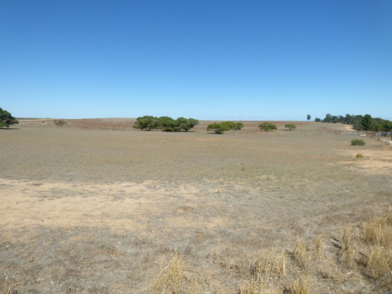 538 Dukes Highway, Elwomple SA 5260